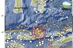 Gempa dangkal guncang NTT Rabu dini hari
