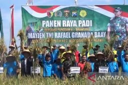 Kodam V/Brawijaya dukung pemda tingkatkan produksi padi