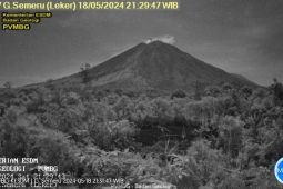 Semeru erupsi 14 kali dalam sehari