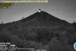 Semeru kembali erupsi dengan letusan setinggi 800 meter