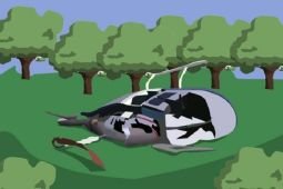 Pencarian Presiden Iran, Rusia kirim dua pesawat dan tim evakuasi