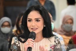 Kris Dayanti minta pemerintah perketat pemberian izin klinik kecantikan