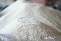 Bantuan pangan beras dorong turunkan kemiskinan di Indonesia