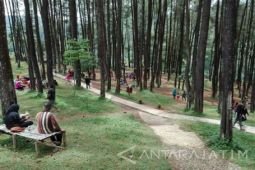 Desa Wisata Kare menangkan ajang Madiun Tourism Award 2024