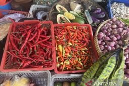Harga pangan: Senin ini cabairawit jadi Rp52.900 per kg