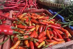 Harga Cabai keriting Selasa ini naik Rp6.680 jadi Rp49.390 per kg