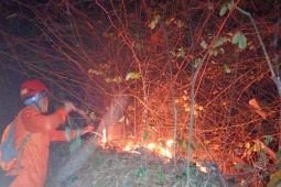 BPBD Trenggalek berlakukan status siaga karhutla