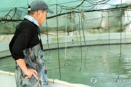 Akibat panas yang ekstrem, 18 orang meninggal di Korsel