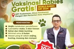 Pemkot Mojokerto gelar vaksinasi rabies gratis