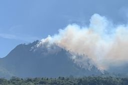 BPBD Lumajang bantu padamkan karhutla di kawasan TNBTS