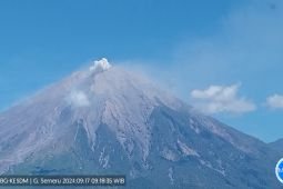 Semeru kembali alami erupsi terus menerus pada Selasa pagi