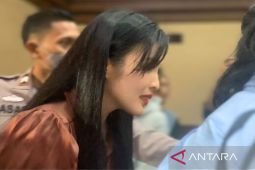 Sandra Dewi akui tidak pernah ikut campur pembelian mobil mewah Harvey Moeis