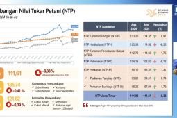 BPS Jatim: Nilai Tukar Petani September turun 0,33 persen