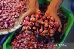 Harga pangan Senin ini, bawang merah menguat jadi Rp38.940 per kg