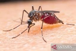 Kemenkes rilis dua SE antisipasi risiko penyakit di musim hujan