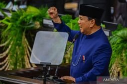 Presiden Prabowo siapkan tanggul laut dari Cilegon sampai Gresik