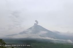 Gunung Semeru erupsi dengan letusan setinggi 900 meter