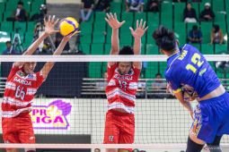 Proliga 2025: Surabaya Samator kandaskan Jakarta Garuda di dua set akhir