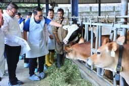 Pemprov Jatim minta peternak lakukan vaksin mandiri untuk tangani PMK