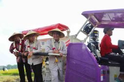 Mentan : Bangkalan daerah pertanian produktif yang dapat dicontoh