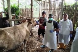 Kementan dan Pemkab tanggap atasi kasus PMK di Magetan