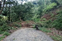 Jalan selingkar Waduk Wonorejo Tulungagung tertutup longsor
