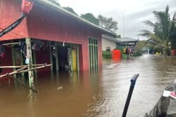 Ratusan rumah di perbatasan Kalbar-Malaysia masih terendam banjir