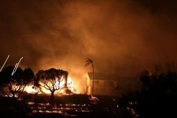 Gedung Putih: Karhutla di LA meluas, Kamala Harris batalkan kunjungan ke Singapura