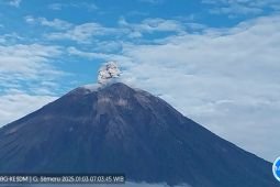 Semeru alami erupsi dengan disertai letusan setinggi 700 meter