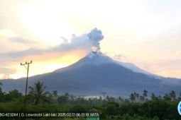 Gunung Lewotobi Laki-laki lontarkan abu setinggi 900 meter