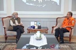 Rini Widyantini dukung penguatan tata kelola pelayanan SAR