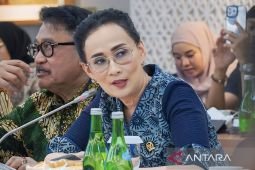 DPR tekankan UU TNI tidak boleh langgar hak-hak sipil