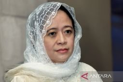 Take steps to ensure exchange rate stability: DPR to govt