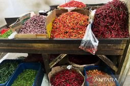 Harga pangan Sabtu ini, bawang merah Rp44.306/kg dan cabai rawit merah Rp74.103/kg
