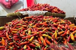 Harga pangan Rabu ini, bawang merah Rp43.083/kg dan cabai rawit merah Rp78.530/kg