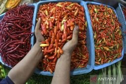 Harga pangan, cabai rawit merah turun jadi Rp79.756 per kg