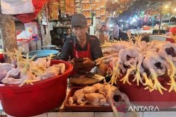Harga pangan Rabu ini, harga cabai rawit Rp80.520/kg dan daging ayam Rp36.843/kg