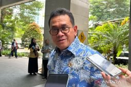 Mendag sebut belum ada permintaan Malaysia untuk impor beras