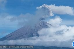Semeru kembali alami erupsi empat kali dengan tinggi letusan 800 meter