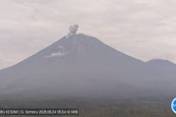 Semeru kembali alami erupsi empat kali dengan letusan hingga 800 meter