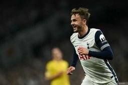 Postecoglou senang dengan penampilan Tottenham Hotspur di semifinal
