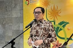 Danantara key to stabilizing EV investment climate: Minister