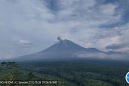 Semeru kembali alami erupsi dengan abu vulkanik ke arah tenggara dan selatan