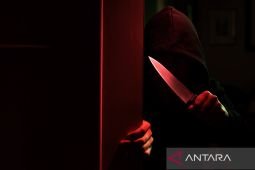 Polisi selidiki kasus seorang lansia tewas ditusuk dekat Tokyo