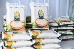 BGN jadikan beras biofortifikasi Banyuwangi untuk program MBG