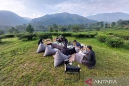 Menikmati hangatnya teh di tengah perkebunan ala Plataran Puncak