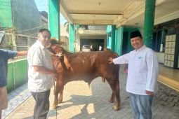 PWNU Jatim terima 10 ekor sapi kurban dari Megawati hingga Khofifah
