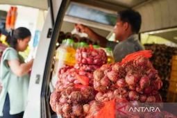 Harga pangan Selasa ini, bawang merah Rp40.628/kg dan cabai rawit Rp60.207/kg