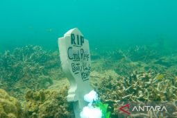 Misi Bahari Situbondo agendakan seminar untuk cari solusi kerusakan karang