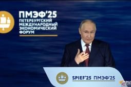 Russian economy non-dependent on oil and gas: Putin